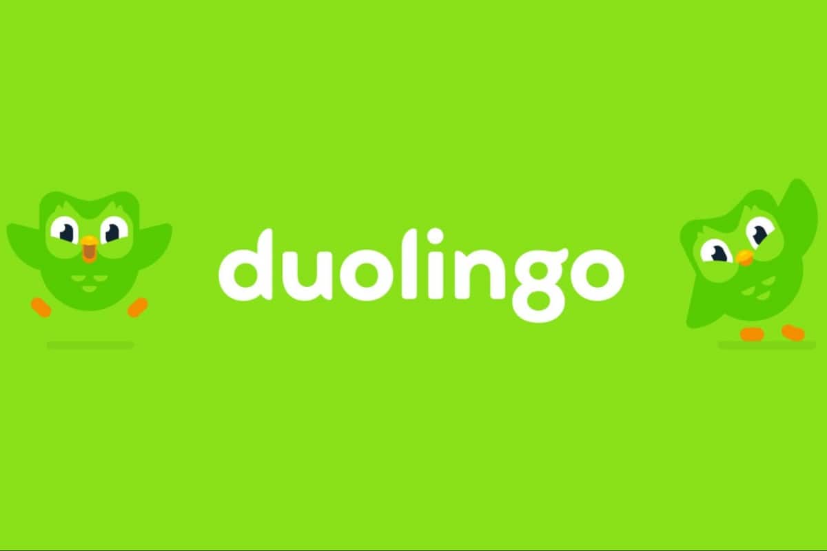 Chi tiết hơn 89 hình nền duolingo tuyệt vời nhất  Tin học Đông Hòa